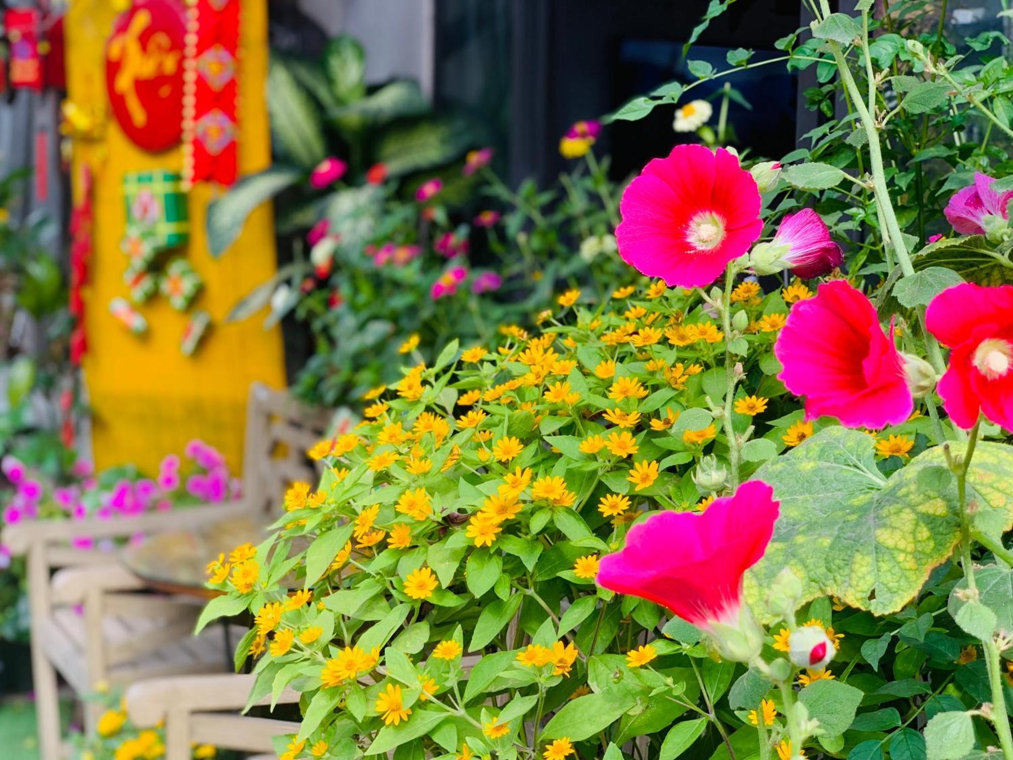 May's House Bed & Breakfast Hoi An